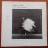 LP (vinil vinyl) ROBERT PLANT &ndash; The Principle Of Moments (EX), Rock