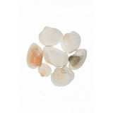 Accesorii creatie - scoici, 70g, set 6 buc, Colorarte, 6902