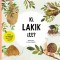 Ki lakik itt? - Seg&iacute;ts a kis csig&aacute;nak &uacute;j otthont tal&aacute;lni! - Radka P&iacute;ro