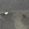 Senzor de poziție ax cu came VW GOLF V 1K1 2005 OEM: 9805940