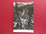 CARTE POSTALA - RPR - DRUMUL SPRE BORSEC