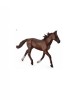 Armasar Standardbred Pacer Castaniu, Collecta