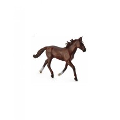 Armasar Standardbred Pacer Castaniu