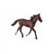 Armasar Standardbred Pacer Castaniu