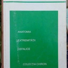 Anatomia extremitatii cefalice- Constantin Fatu, Doina Lucia Frincu