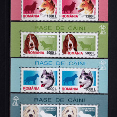 RO 2001 LP 1551 "Rase de caini",serii pereche H + manseta, MNH