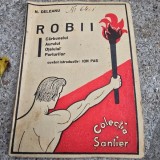 Robii carbunelui, aurului, otelului, porturilor - N. Deleanu