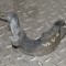 Suport alternator PORSCHE CAYENNE 9PA 2004 13907704