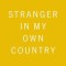 Stranger in My Own Country: A Jewish Family in Modern Germany