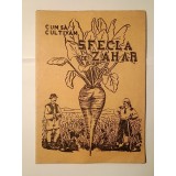 Cum să cultivăm sfecla de zahăr (Centrala Industrială Alimentară, 1949)