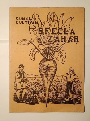 Cum să cultivăm sfecla de zahăr (Centrala Industrială Alimentară, 1949) foto