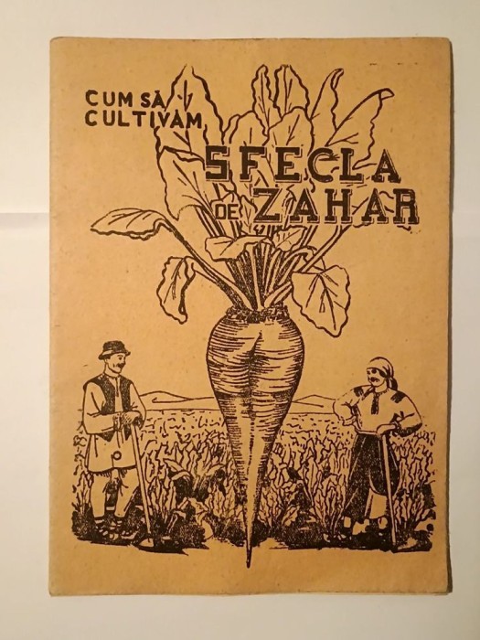 Cum să cultivăm sfecla de zahăr (Centrala Industrială Alimentară, 1949)