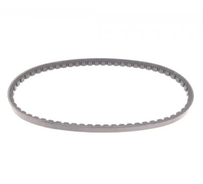 Continental Ctam Curea transmisie foto