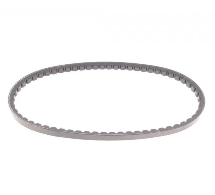 Continental Ctam Curea transmisie