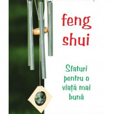 Feng Shui - Paperback brosat - David Daniel Kennedy - Mix
