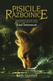 Pisicile războinice. Puterea celor trei. R&acirc;ul &icirc;ntunecat (Vol.14) - Erin Hunter