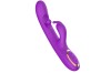 Vibrator Swinging Rabbit, 7 Moduri Vibratii, 10 Moduri Stimulare Punctul G, Silicon, USB, Mov, 24 cm, Passion Labs