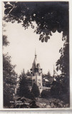 bnk cp Sinaia - Castelul Peles - uzata 1935