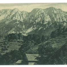 5186 - SIBIU, Cabana in munti, Romania - old postcard - unused - 1917