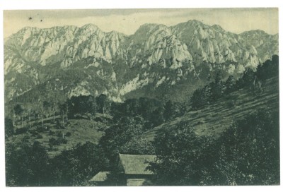 5186 - SIBIU, Cabana in munti, Romania - old postcard - unused - 1917 foto