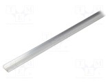 Profi Modul LED Natural 1m WIDE24 Aluminiu - TOPMET