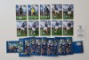 Set 10 cartonase de colectie / vintage cu fotbalisti, magnetice, imprimate in relief, Campionatul Mondial de Fotbal 2010, echipa Frantei