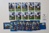 Set 10 cartonase de colectie / vintage cu fotbalisti, magnetice, imprimate in relief, Campionatul Mondial de Fotbal 2010, echipa Frantei