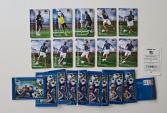 Set 10 cartonase de colectie / vintage cu fotbalisti, magnetice, imprimate in relief, Campionatul Mondial de Fotbal 2010, echipa Frantei