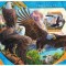 MALI 2021 - Pasari de prada / colita+bloc MNH