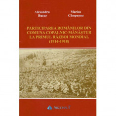 Alexandru Bucur, Marius Campeanu - Participarea romanilor din comuna Copalnic-Manastur la Primul Razboi Mondial (1914-1918) - 13