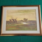 Cumpara ieftin CONSTANTIN RADINSCHI - APUS CU COPACI GOI - acuarela anii '80