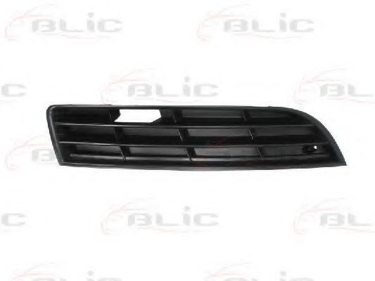 Grila ventilatie, bara protectie VW PASSAT Variant (3C5) (2005 - 2011) BLIC 6502-07-9540996P