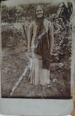 Fotografie, doamna varstnica, inceput de secol XX foto