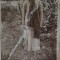 Fotografie, doamna varstnica, inceput de secol XX