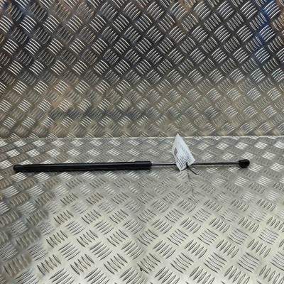 Amortizor capota st&amp;acirc;nga față FORD PUMA J2K, CF7 2024 OEM: L1TB-S406A10-AC 31987774 foto