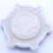 C00535795 INEL MONTAJ CAP PULVERIZARE, CU GARNITURA 488000535795 WHIRLPOOL/INDESIT
