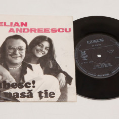 Aurelian Andreescu - Te iubesc / Ce-ti pasa tie - disc vinil vinyl mic 7"