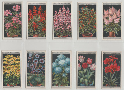 1925 Flori in ghivece - set complet 50 cartonase WILLS Cigarette Cards foto