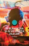 In blandetea si-n vifornita zilelor - Ana Selejan - Școala Ardeleană