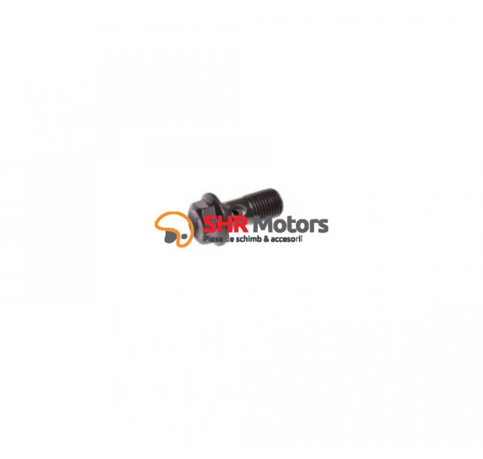 Surub conducta frana (1 gaura) M10x1.25