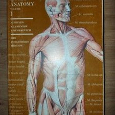 Human anatomy vol 1- M. Prives, N. Lysenkov