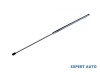 Amortizor capota spate Ford Transit 6 (2000-2006) #1
