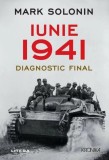 Iunie 1941. Diagnostic final