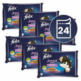 Cumpara ieftin FELIX Junior Fantastic pliculețe, selecție delicioasă &icirc;n gelatină 24 x 85 g