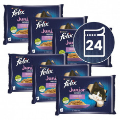 FELIX Junior Fantastic pliculețe, selecție delicioasă în gelatină 24 x 85 g