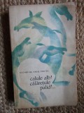 Katherine Anne Porter - Calule alb! calaretule palid!..