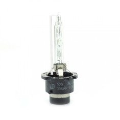 CARGUARD - BEC XENON D2S-6K