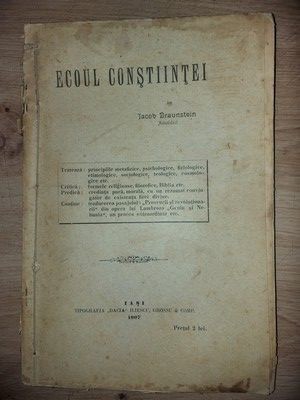 Ecoul constiintei- Iacob Braunstein