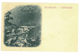 5043 - HERCULANE, Caras, Litho, Panorama, Romania - old postcard - unused, Necirculata, Printata