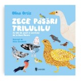 Zece pasari trilulilu. Cu idei de jocuri si activitati - Olina Ortiz